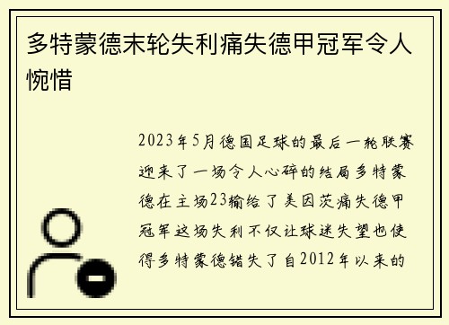 多特蒙德末轮失利痛失德甲冠军令人惋惜