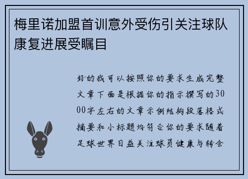 梅里诺加盟首训意外受伤引关注球队康复进展受瞩目